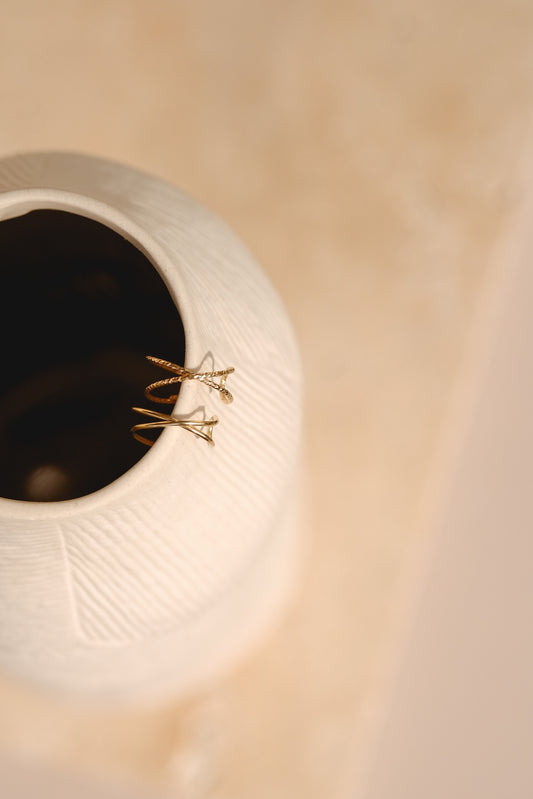 Bague d'oreille "Ambition" (au choix)