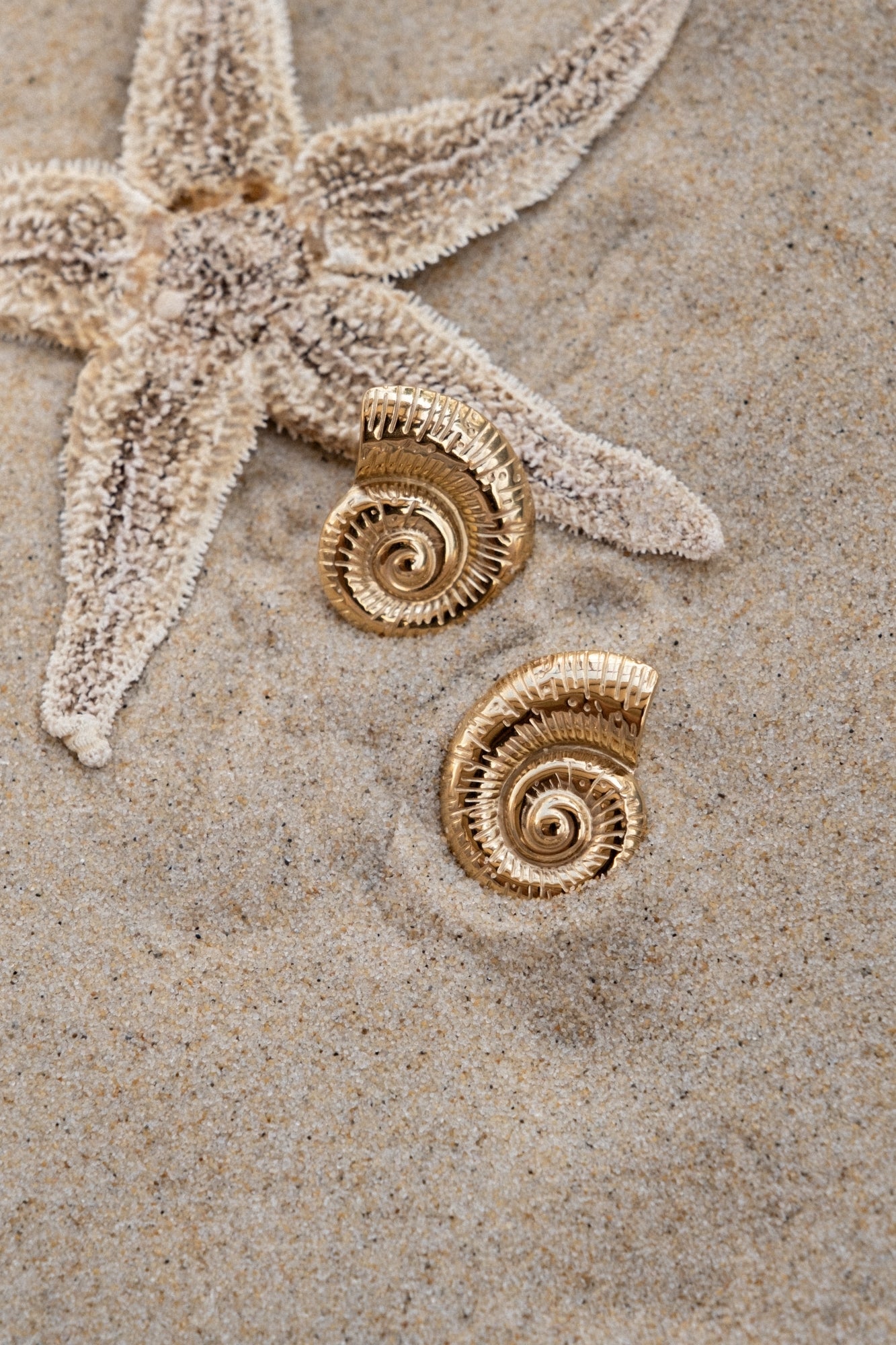 Boucles d'oreilles "Auro"
